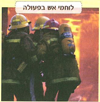 (בספר איור של נורה בתוך בית נורה)